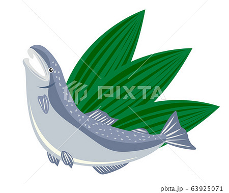 鮭 サーモン ベクターのイラスト素材