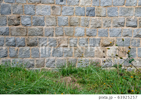 石壁と雑草 石壁と雑草 63925257