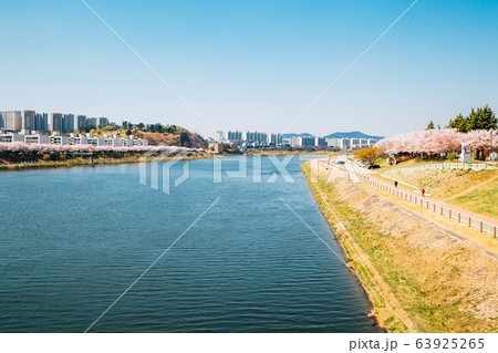Dongchon riverside park and modern apartment buildings at spring in Daegu, Korea 63925265