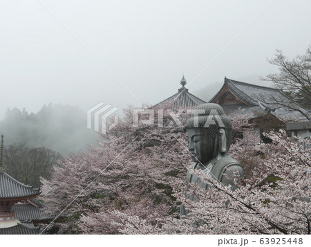 春爛漫 霧の壷阪寺 春爛漫 霧の壷阪寺 63925448