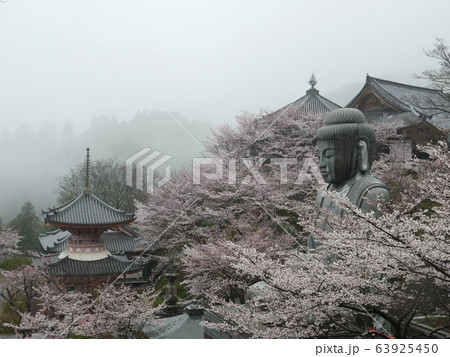 春爛漫　霧の壷阪寺 63925450