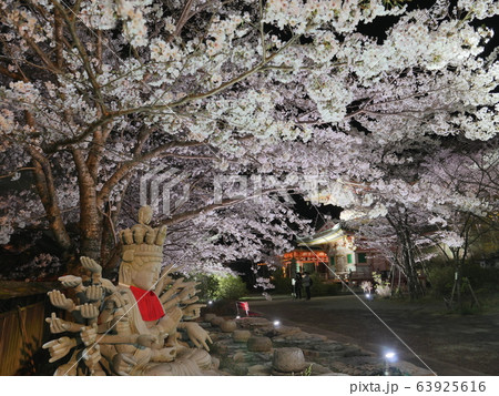 春爛漫　壷阪寺ライトアップ 63925616