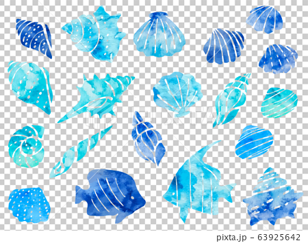 海の水彩風イラストセット 貝殻 巻貝 熱帯魚 のイラスト素材