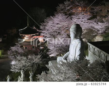 春爛漫　壷阪寺ライトアップ 63925744