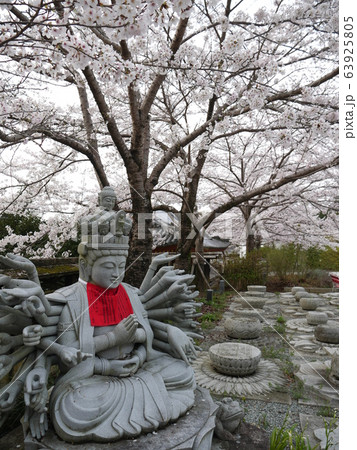 春爛漫の壷阪寺 63925805