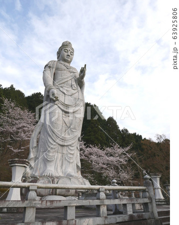春爛漫の壷阪寺 63925806