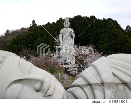 春爛漫の壷阪寺 春爛漫の壷阪寺 63925808