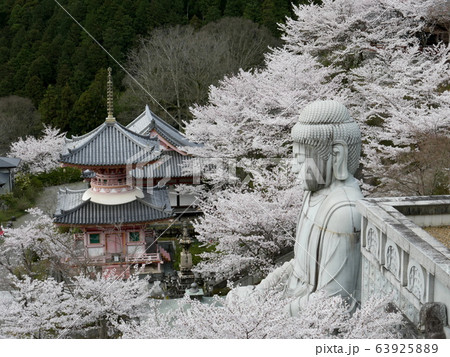 春爛漫の壷阪寺 春爛漫の壷阪寺 63925889