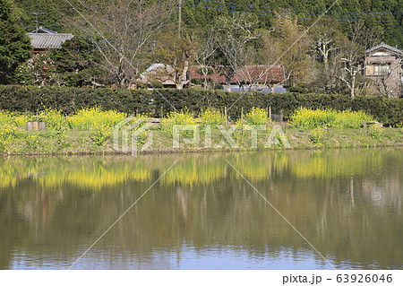 田植え前の水田と農村風景　 63926046