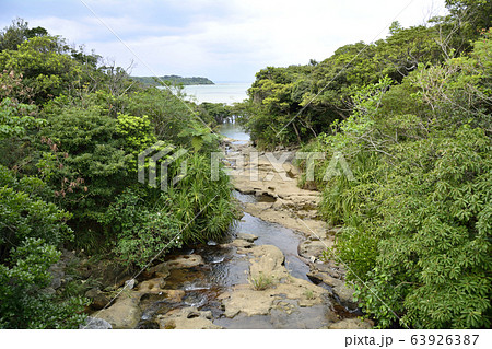 【沖縄・西表島】 【沖縄・西表島】 63926387