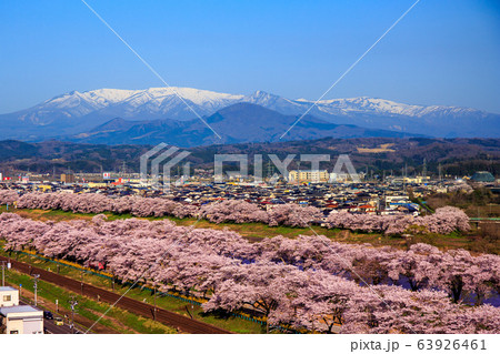 白石川提一目千本桜 63926461