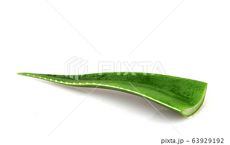 Aloe vera plant isolated on white background. Aloe 63929192