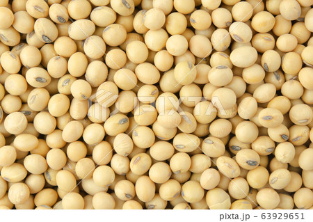 Soybean pattern as for background. 63929651