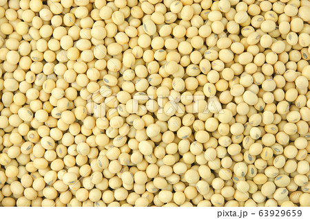 Soybean pattern as for background. 63929659
