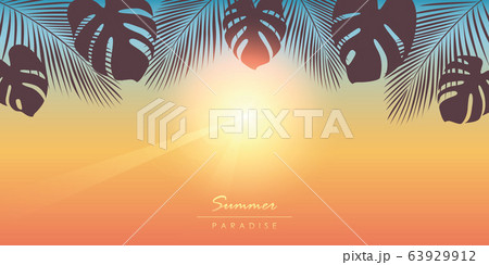 tropical summer paradise sunny background with palm leaves 63929912