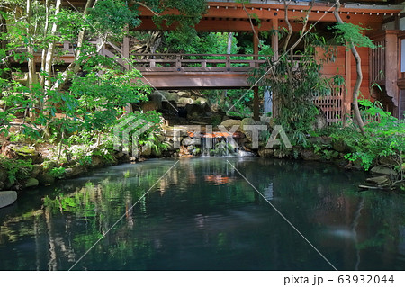 【東京都】新緑の深大寺　五大尊池  63932044