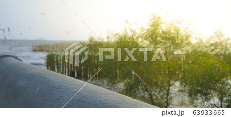 Landscape of wetland and seashore at background with seagulls flying around Landscape of wetland and seashore at background with seagulls flying around 63933665