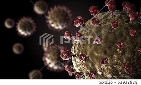 Covid19 - The Corona Virus SARS CoV 2 Covid19 - The Corona Virus SARS CoV 2 63933928