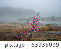 故郷 川 霧 63935099