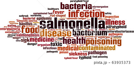 Salmonella word cloud 63935373