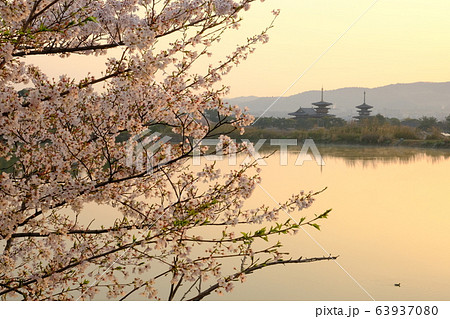 薬師寺と桜と朝日(奈良県奈良市) 薬師寺と桜と朝日(奈良県奈良市) 63937080