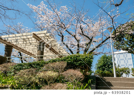 文京区立元町公園 文京区立元町公園 63938201