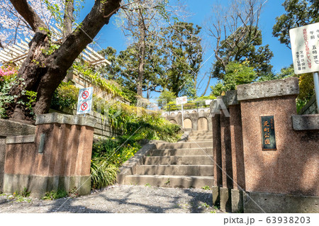 文京区立元町公園 63938203