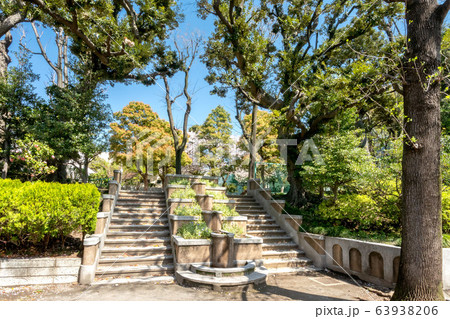 文京区立元町公園 文京区立元町公園 63938206