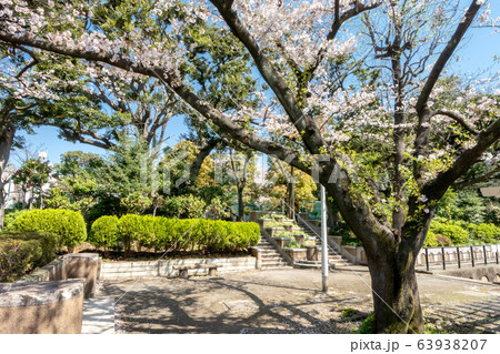 東京都文京区立元町公園 東京都文京区立元町公園 63938207