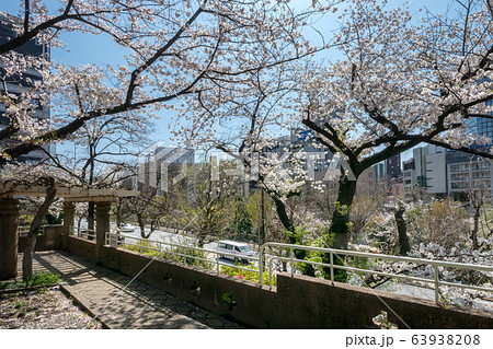 文京区立元町公園 63938208