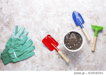 Gardening tools on light background with house plant and gloves,top view Gardening tools on light background with house plant and gloves,top view 63938301
