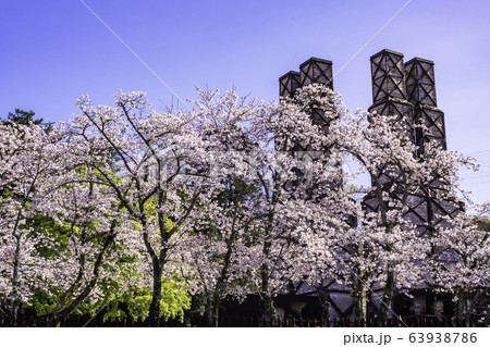 【静岡県】満開の桜に包まれた、韮山反射炉 63938786