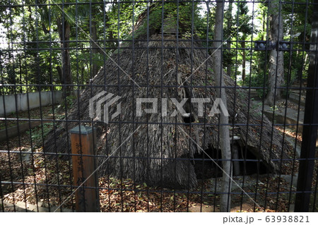 代々木八幡宮　竪穴式住居 63938821