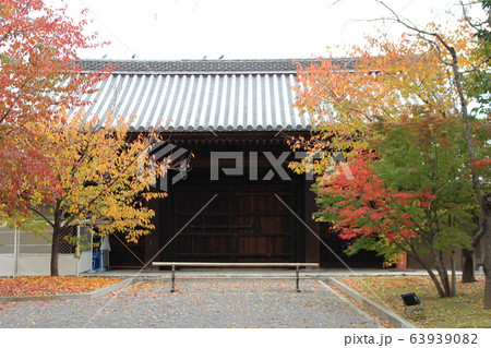 東寺　秋 63939082
