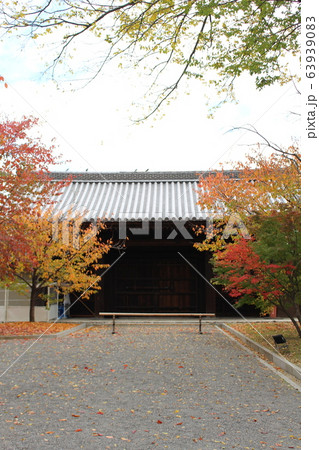 東寺 秋 東寺 秋 63939083