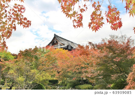 東寺 秋 東寺 秋 63939085