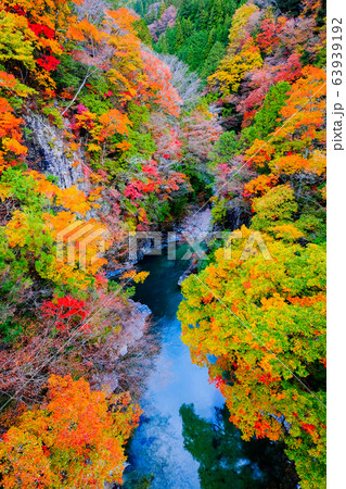 付知峡（秋） 63939192