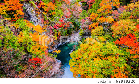 付知峡（秋） 63939220
