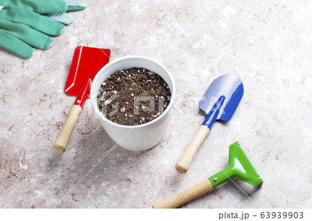 Gardening tools on light background with house plant and gloves,top view Gardening tools on light background with house plant and gloves,top view 63939903
