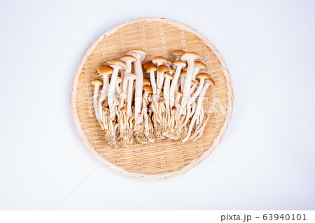 ブナシメジ 63940101