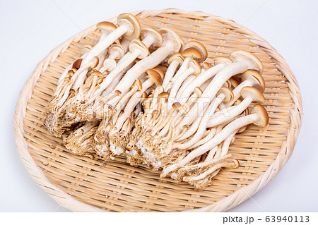 ブナシメジ 63940113