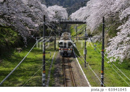 山北駅の桜と電車 山北駅の桜と電車 63941045