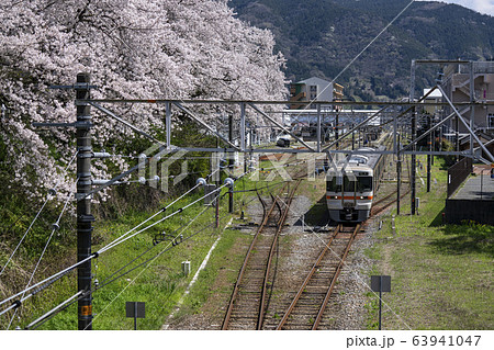 山北駅の桜と電車 山北駅の桜と電車 63941047