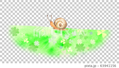 野原のカタツムリ 63941156
