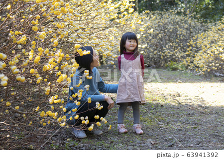 散歩する親娘 63941392