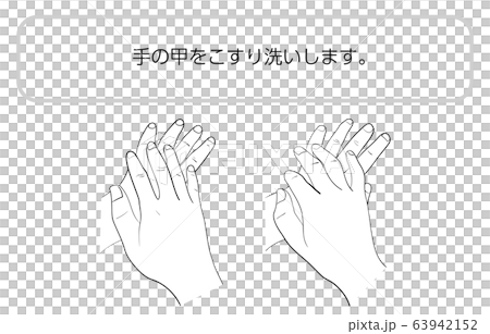 正しい手の洗い方 正しい手の洗い方 63942152
