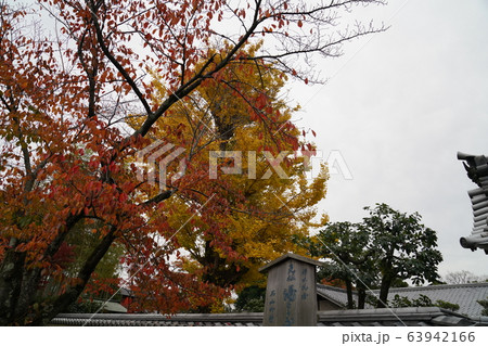 京都嵐山 紅葉 自然 京都嵐山 紅葉 自然 63942166