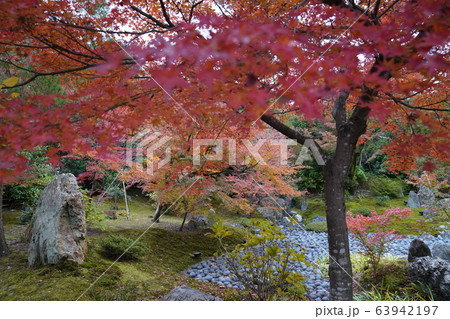 京都嵐山 紅葉 自然 京都嵐山 紅葉 自然 63942197