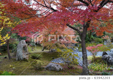京都嵐山 紅葉 自然 京都嵐山 紅葉 自然 63942203