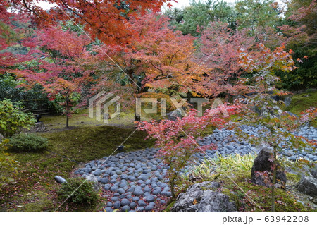 京都嵐山 紅葉 自然 京都嵐山 紅葉 自然 63942208